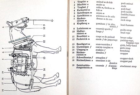 Wehrmacht pack animals